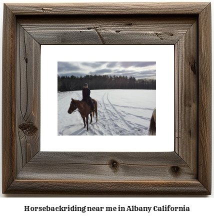 horseback riding near me in Albany, California